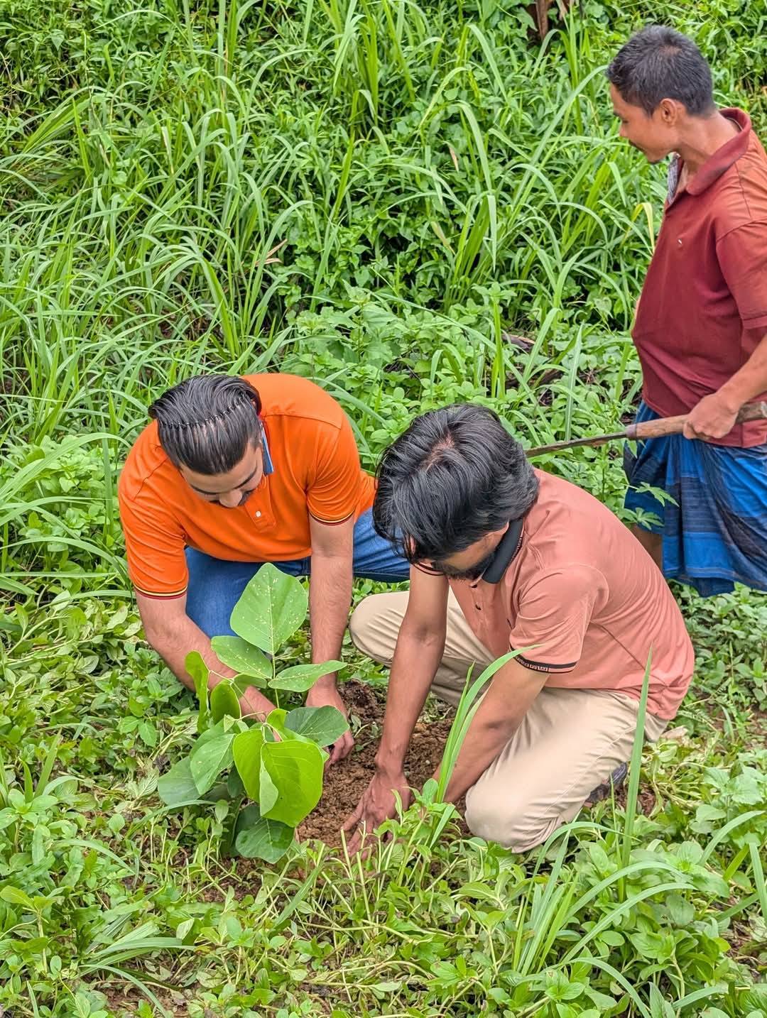 RMSTU Forest restoration activities